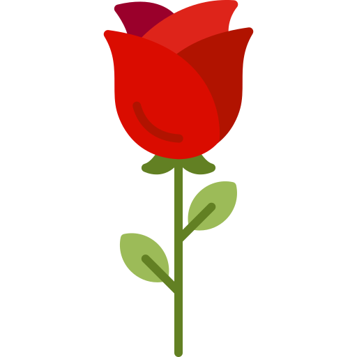enchanted rose